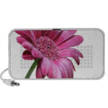 Gerbera Daisy Speakers