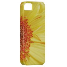 Gerbera Daisy yellow Flower iPhone 5 Case