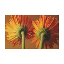 gerbera gallery wrap canvas