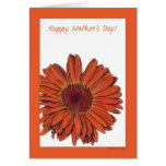 Gerbera Mother's Day Card