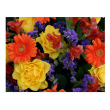 Gerbera Rose Bouquet Postcard