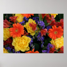 Gerbera Rose Bouquet, S Cyr Posters