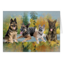 German Shepherd An Autumn Day Cards