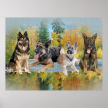 German Shepherd An Autumn Day Posters