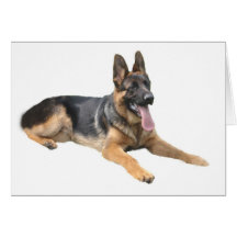German Shepherd Card