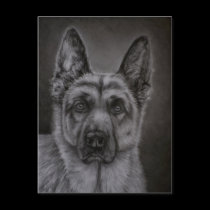 German Shepherd Dog Art - Noble postcards
