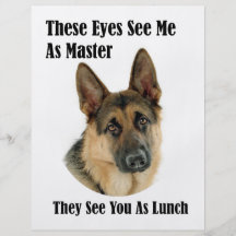 German Shepherd Master Full Color Flyer