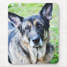 German Shepherd Modern Photo Portrait Mousepad
