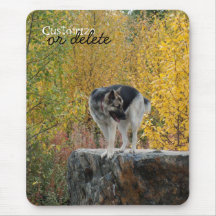 German Shepherd on a Rock; Customisable Mouse Mat