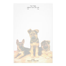 German Shepherd puppies letterhead Stationery Paper