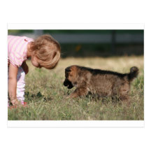 German Shepherd Puppy & Baby Grace Post Cards