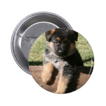 German Shepherd Puppy "Big Max" Pins