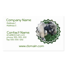 German Shepherd Puppy Business Card