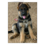 German Shepherd Puppy Greeting Card