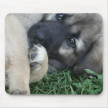 German Shepherd Puppy Mouse Pad