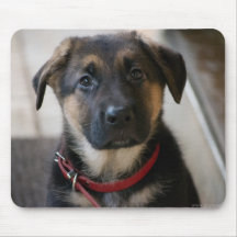 german shepherd puppy mousepad