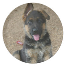 German Shepherd Puppy Plate