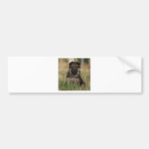 German Shepherd Puppy "Splash" Bumper Sticker