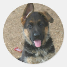 German Shepherd Puppy Sticker
