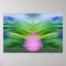 Germination Posters