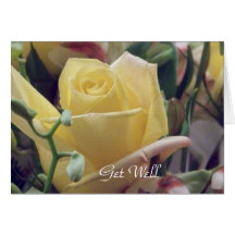 Get Well/ Any Occasion_ Card
