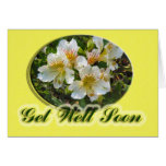 get well soon cards