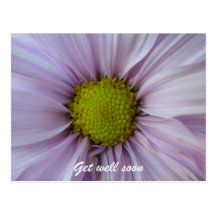 Get well soon: Floral Postcard