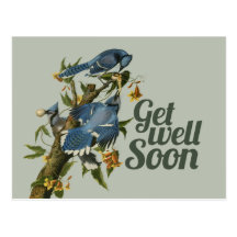 Get well Soon Post Card