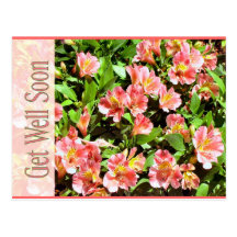 get well soon post cards