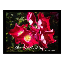 Get Well Soon Postcard
