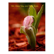 Get Well Soon Postcard