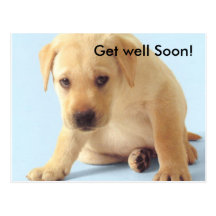 Get well Soon! Postcard