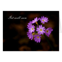 Get well soon, purple flower card