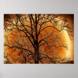 Gettysburg Tree forgotten Heroes Poster