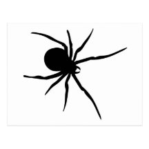 Giant Black Spider Post Cards