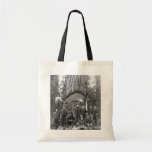 Giant Fir Tree Ready to Fall, 1902 Tote Bags