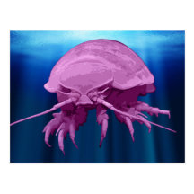 Giant Isopod Postcards