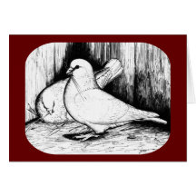 Giant Runt Pigeons Greeting Cards