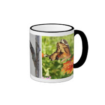 Giant Swallowtail Butterfly Lifecycle Coffee Mug