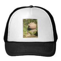 Giant teapot at Pinglin, Taiwan Trucker Hat