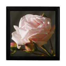 Gift Box-Pink Rose