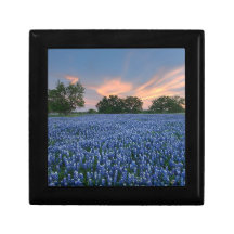 GIFT BOX with bluebonnet painting
