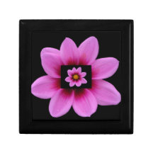 Gift Box with Pink Cosmo