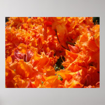 GIFTS Boss Manager Orange Azalea Art Prints Canvas