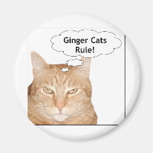 Ginger Cats Rule! Magnet