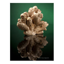 Ginger Postcard