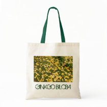Ginkgo biloba leaves bags