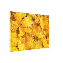 Ginkgo Biloba leaves Gallery Wrapped Canvas
