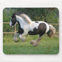 Gipsy horse mousepad
