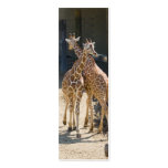 giraffe bookmark business card
